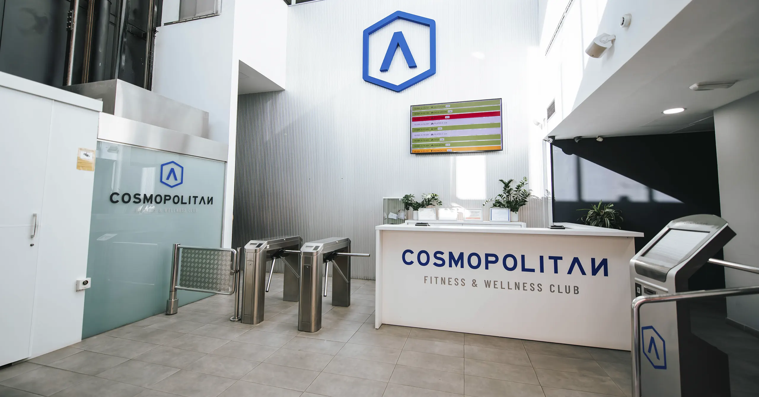 Cosmopolitan 5